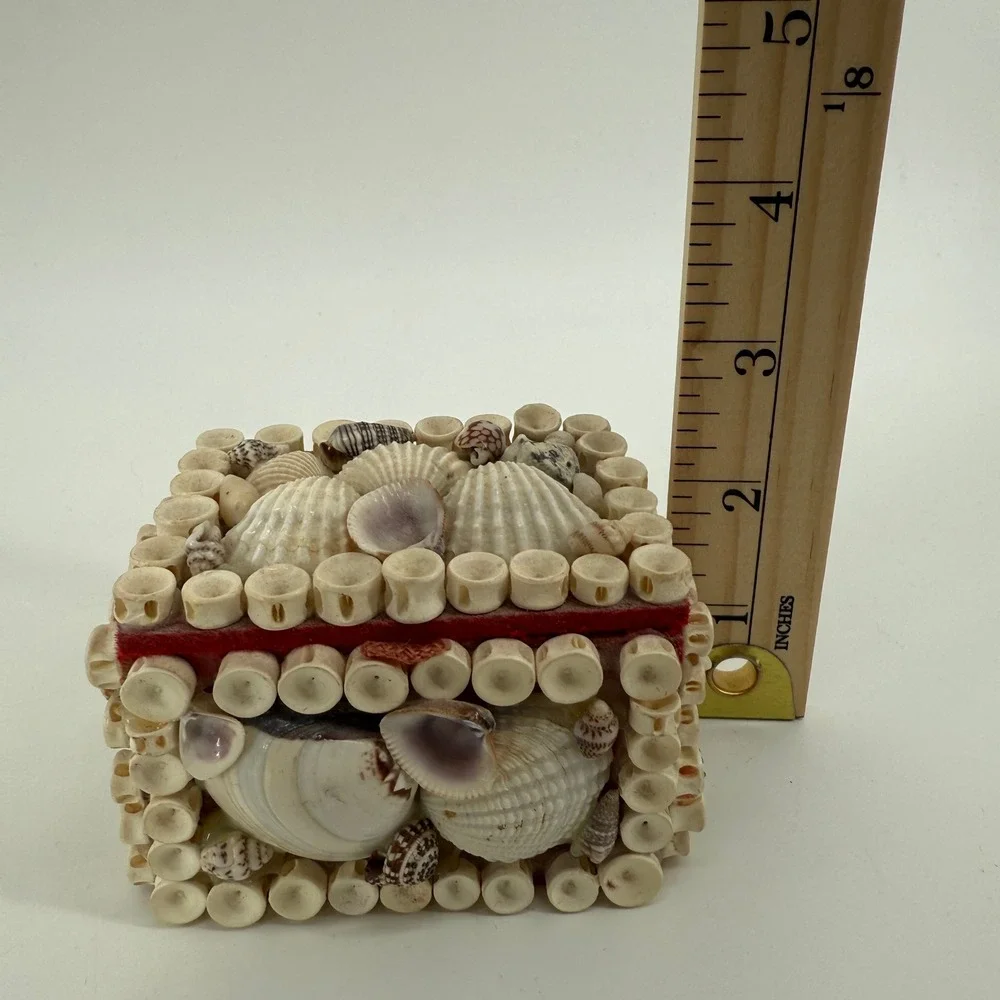 Vintage Seashell Trinket Box Shark Vertebrae Bone Rings Red Velvet Lined 3.5